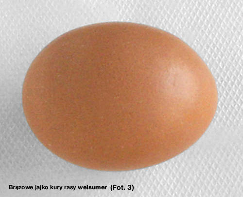 Jajka - barwniki do jaj