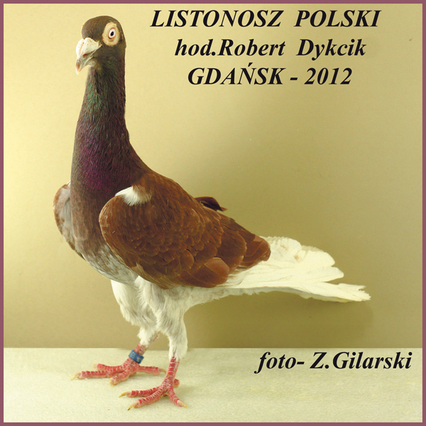 listonosz polski